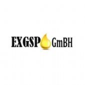 EXGSP GMBH LLC